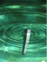 energy harvesting
