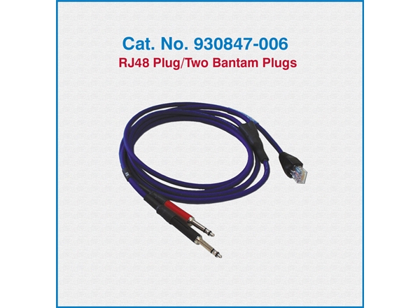 RJ45 Plug/Two Bantam Plugs