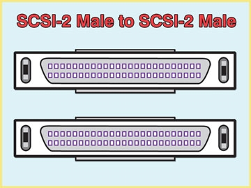 SCSI Cables, SCSI-2 (M) to SCSI-2 (M), Custom Lengthpecify length.