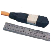 1 Meter 12-Fiber Patch