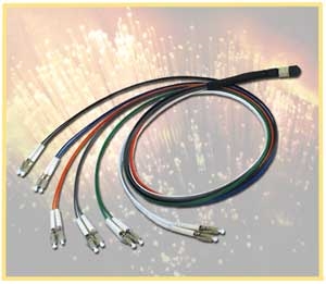 MTP 12-Fiber Fanout Cables, SC Duplex, Custom Length