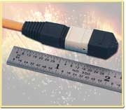 12-Fiber Patch Custom Lengths