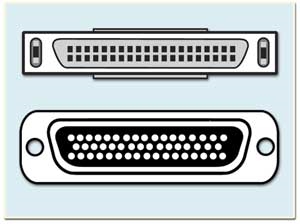 982012 SCSI Cables, SCSI-2 to DB50 Male, Custom Length 