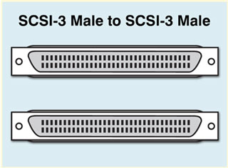 SCSI-3 male to SCSI-2 male cables