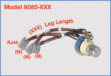 Model 8085 Cat5e A/B Switch with no enclosure, and custom leg lenths.